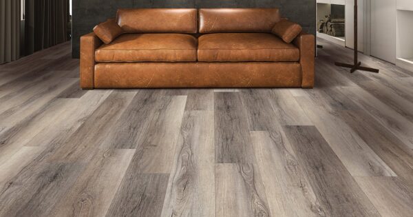 Berkshire Elm